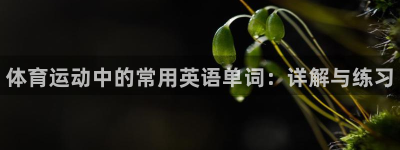 欧亿体育官方正版app集团官网网址：体育运动中的常用