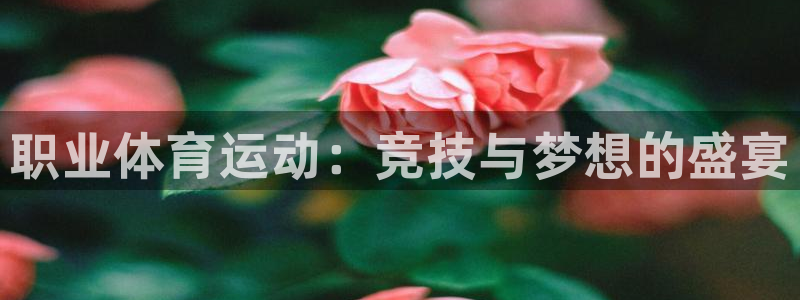 oety欧亿体育官网下载平台是正规平台吗知乎：职业体育运动：