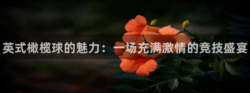 oety欧亿体育官网下载平台假的吗是真的吗吗：英式橄榄球的魅