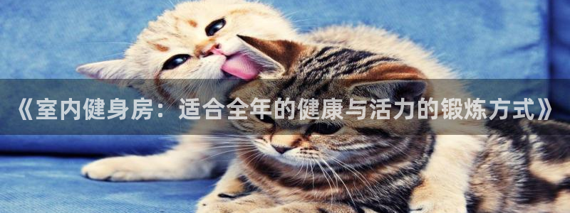 欧亿体育官方正版app官网：《室内健身房：适合全年的健康与活