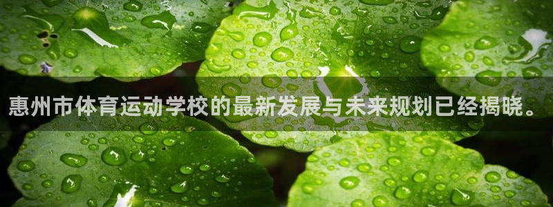 oety欧亿体育官网下载招商电话号码查询：惠州市体育
