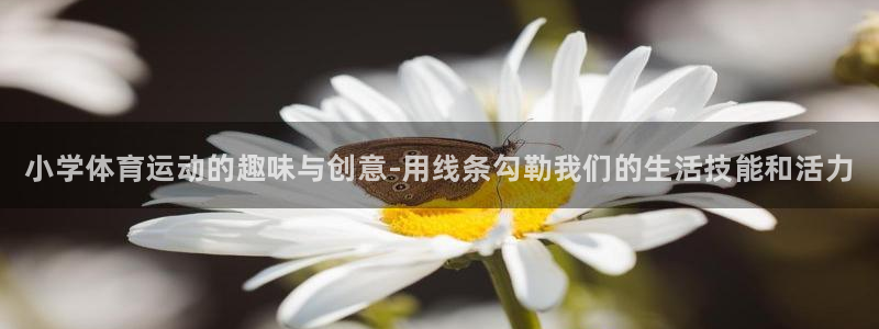 欧亿体育官方正版app娱乐是那个系列的台子：小学体育