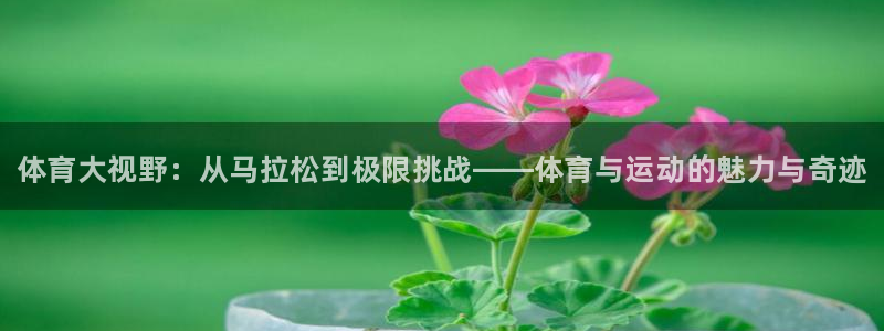 oety欧亿体育官网下载招商：体育大视野：从马拉松到
