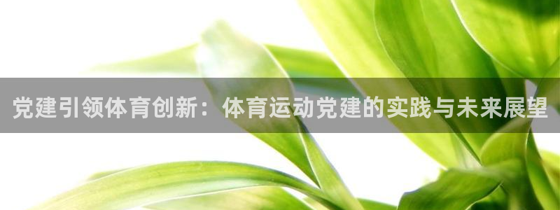 oety欧亿体育官网下载注册：党建引领体育创新：体育
