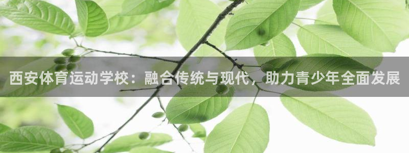 oety欧亿体育官网下载平台APP：西安体育运动学校