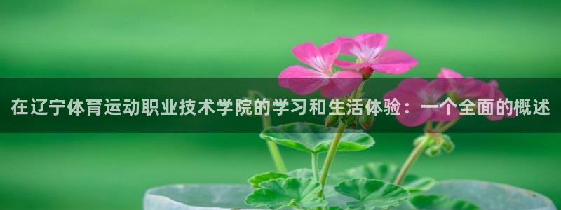 oety欧亿体育官网下载平台：在辽宁体育运动职业技术学院的学