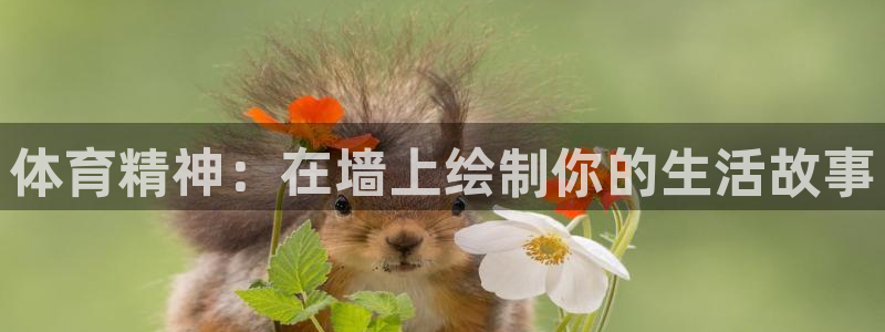 oety欧亿体育官网下载招商电话地址查询：体育精神：在墙上绘