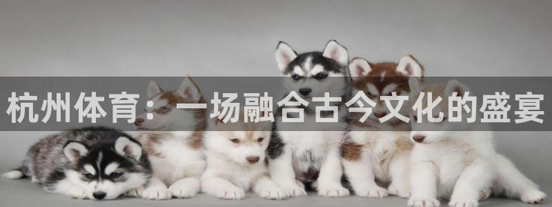欧亿体育官方正版app集团logo：杭州体育：一场融