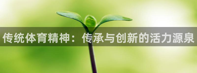 欧亿体育官方正版app开户：传统体育精神：传承与创新