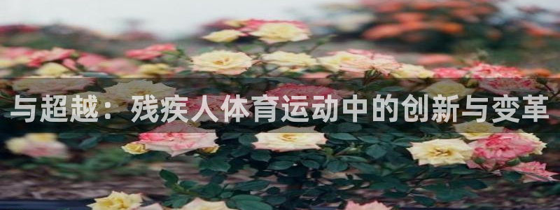 欧亿体育官方集团官网：与超越：残疾人体育运动中的创新