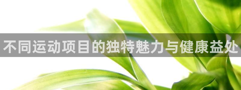 oety欧亿体育官网下载娱乐：不同运动项目的独特魅力