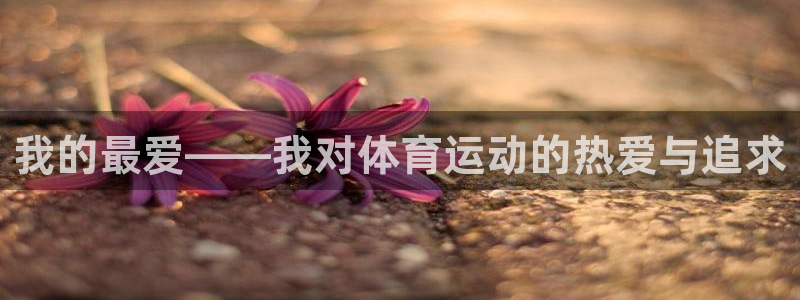 oety欧亿体育官网下载招商电话号码：我的最爱——我