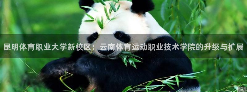 欧亿体育官方正版app科技：昆明体育职业大学新校区：云南体育
